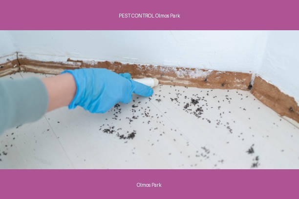 PEST CONTROL Olmos Park